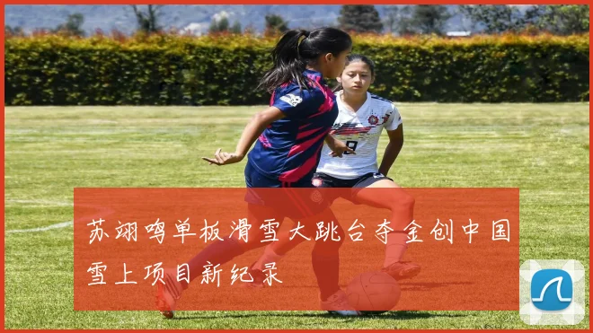 苏翊鸣单板滑雪大跳台夺金创中国雪上项目新纪录
