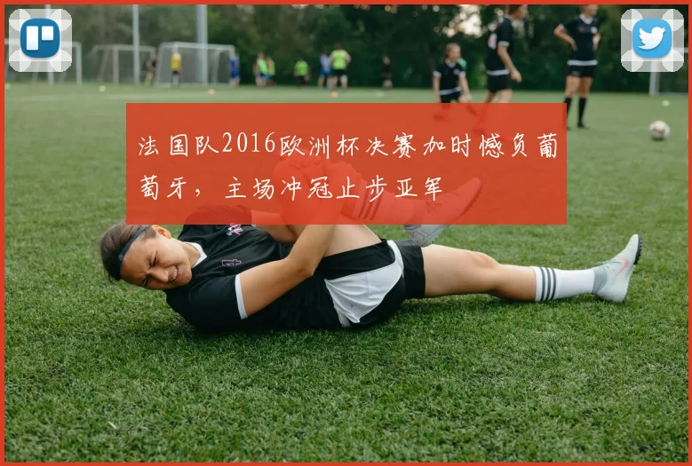 法国队2016欧洲杯决赛加时憾负葡萄牙，主场冲冠止步亚军