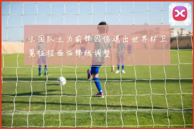 法国队主力前锋因伤退出世界杯卫冕征程面临锋线调整