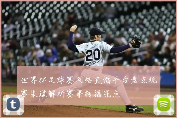 世界杯足球赛网络直播平台盘点观赛渠道解析赛事转播亮点