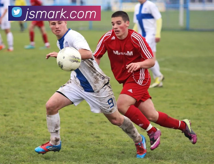 开云手机在线登录官网品牌故事